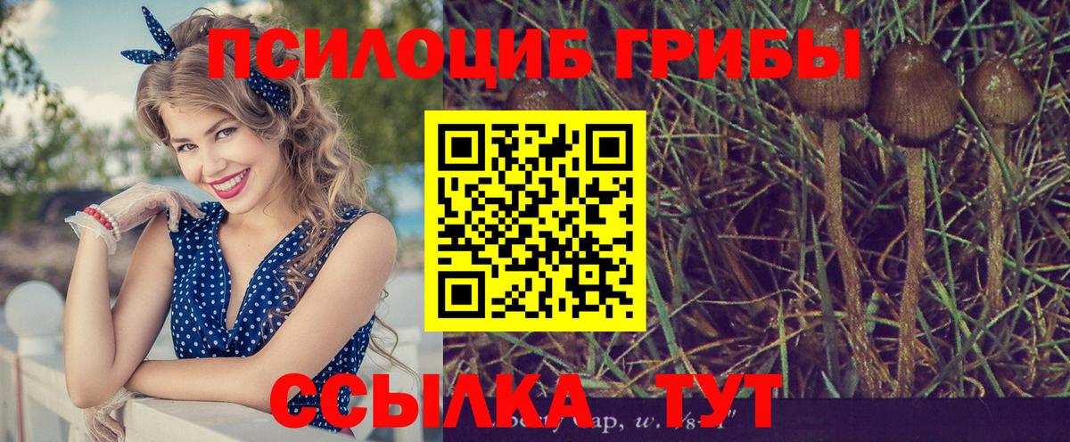Ревда  Галлюциногенные грибы Cubensis  Вход с VPN  где можно купить наркотик  Псилоцибиновые грибы Psilocybe 